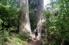s_west-oz-55.jpg