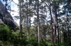 s_west-oz-56.jpg