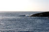 s_west-oz-66.jpg