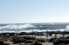 s_west-oz-72.jpg